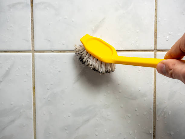 Best Mold Remediation Services  in Pittsboro, NC