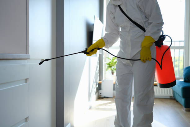 Professional Mold Removal in Pittsboro, NC